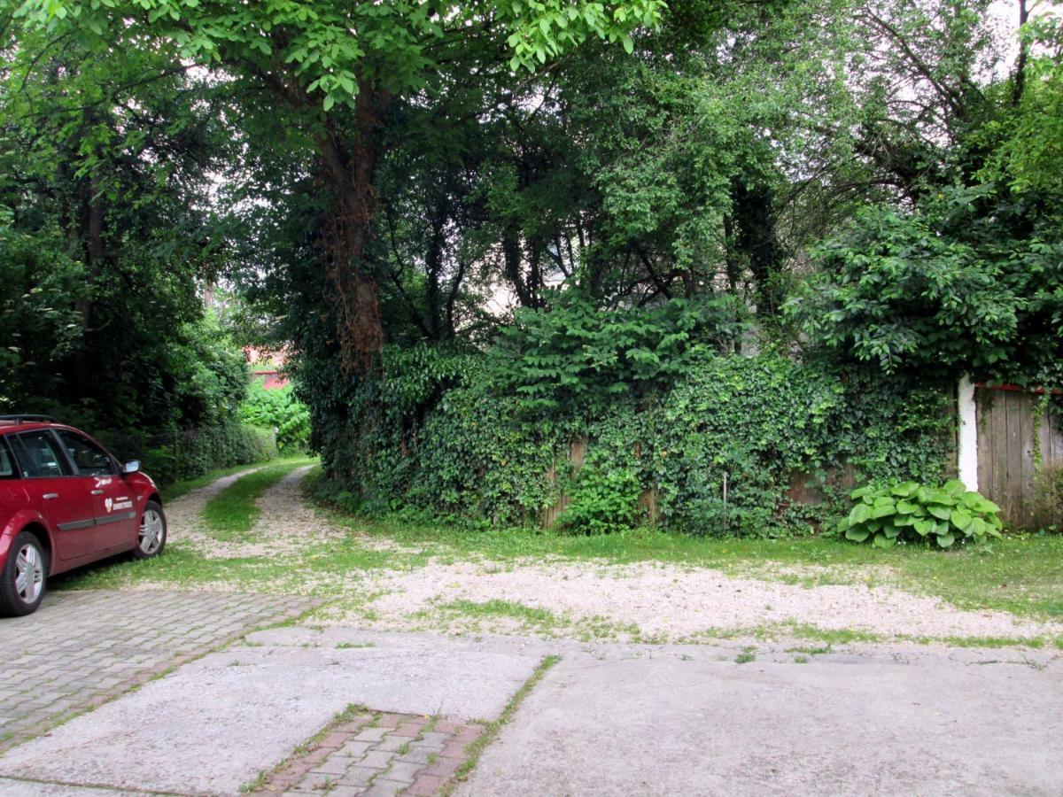 Vila Liana Brașov Exterior foto