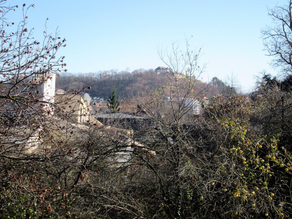 Vila Liana Brașov Exterior foto